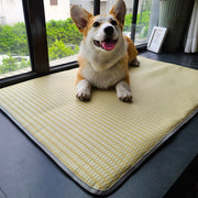 Dog Mat Sleeping With Pet Mat Summer Mat Anti Bite Mattress