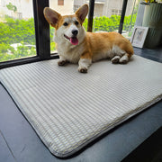Dog Mat Sleeping With Pet Mat Summer Mat Anti Bite Mattress