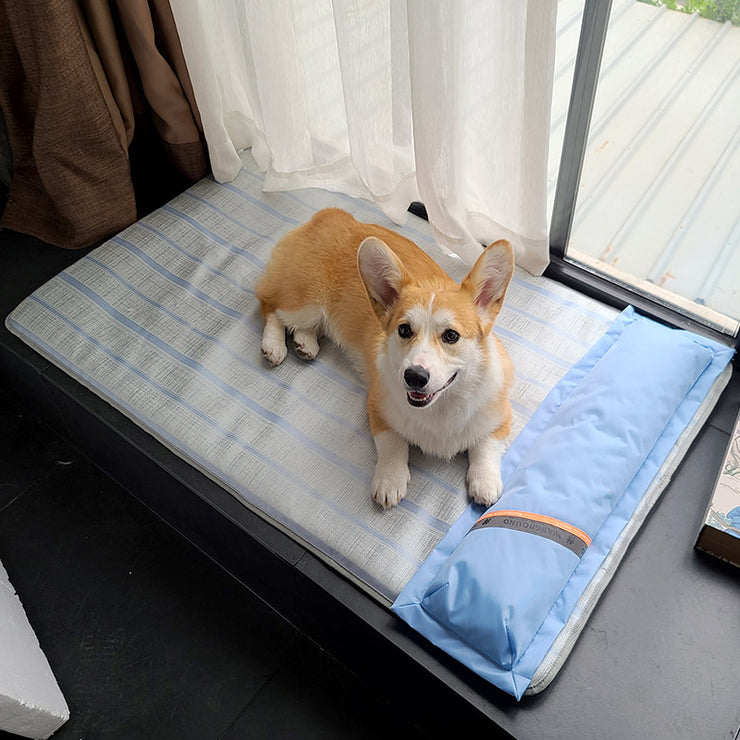 Dog Mat Sleeping With Pet Mat Summer Mat Anti Bite Mattress