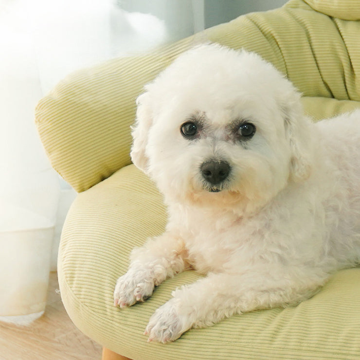 Universal Bed For Cats Thickened Animal Bed