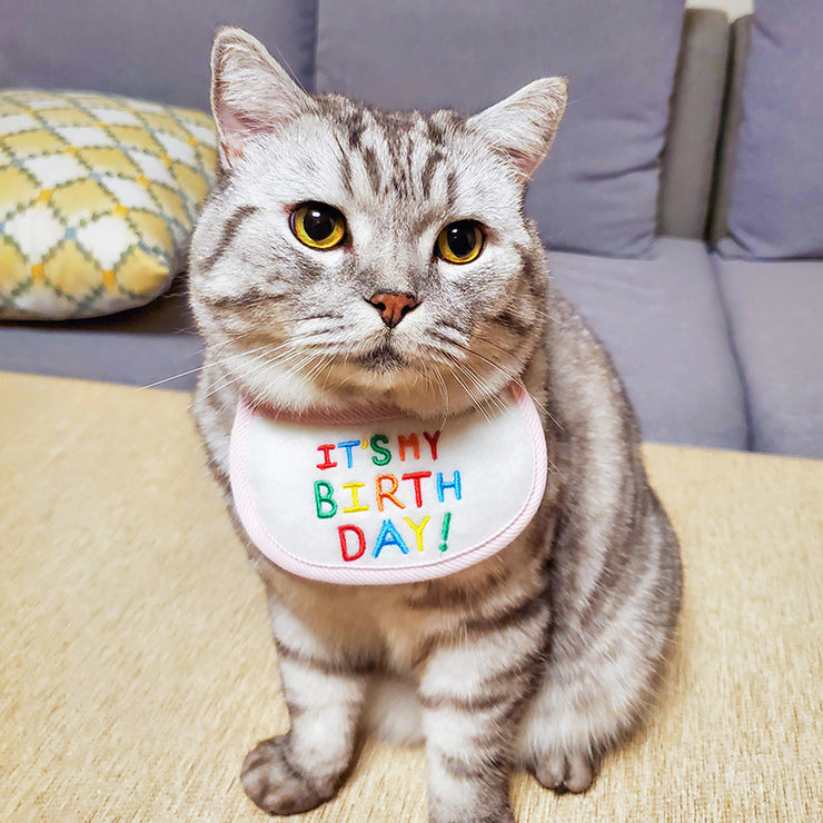 y Pet Cat Bib Holiday Birthday Bib Pet Supplies Bib Triangle Scarf