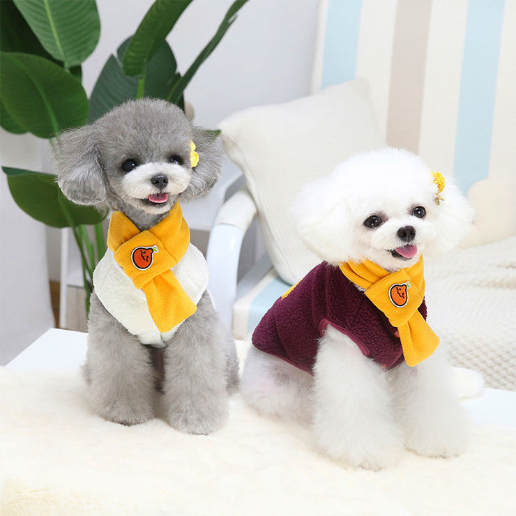 Complimentary Scarf Pet Clothes