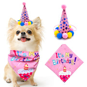 Pet Dog And Cat First Birthday Party Triangle