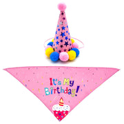 Pet Dog And Cat First Birthday Party Triangle