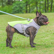 Pet Dog Cooling Vest Heat Resistant